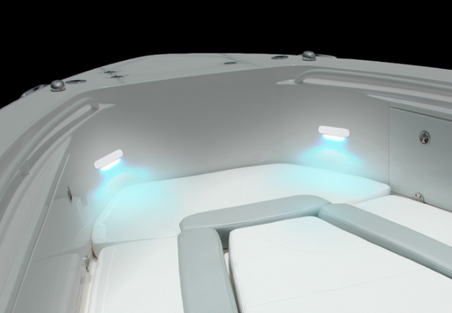 shadow caster marine courtesy light