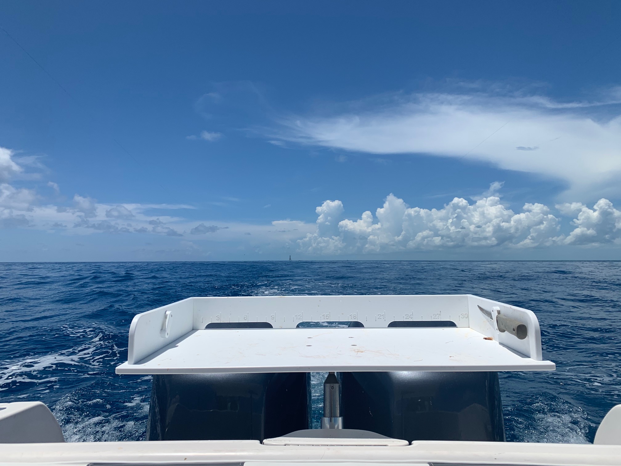 Fillet Table for Fishing and Boating